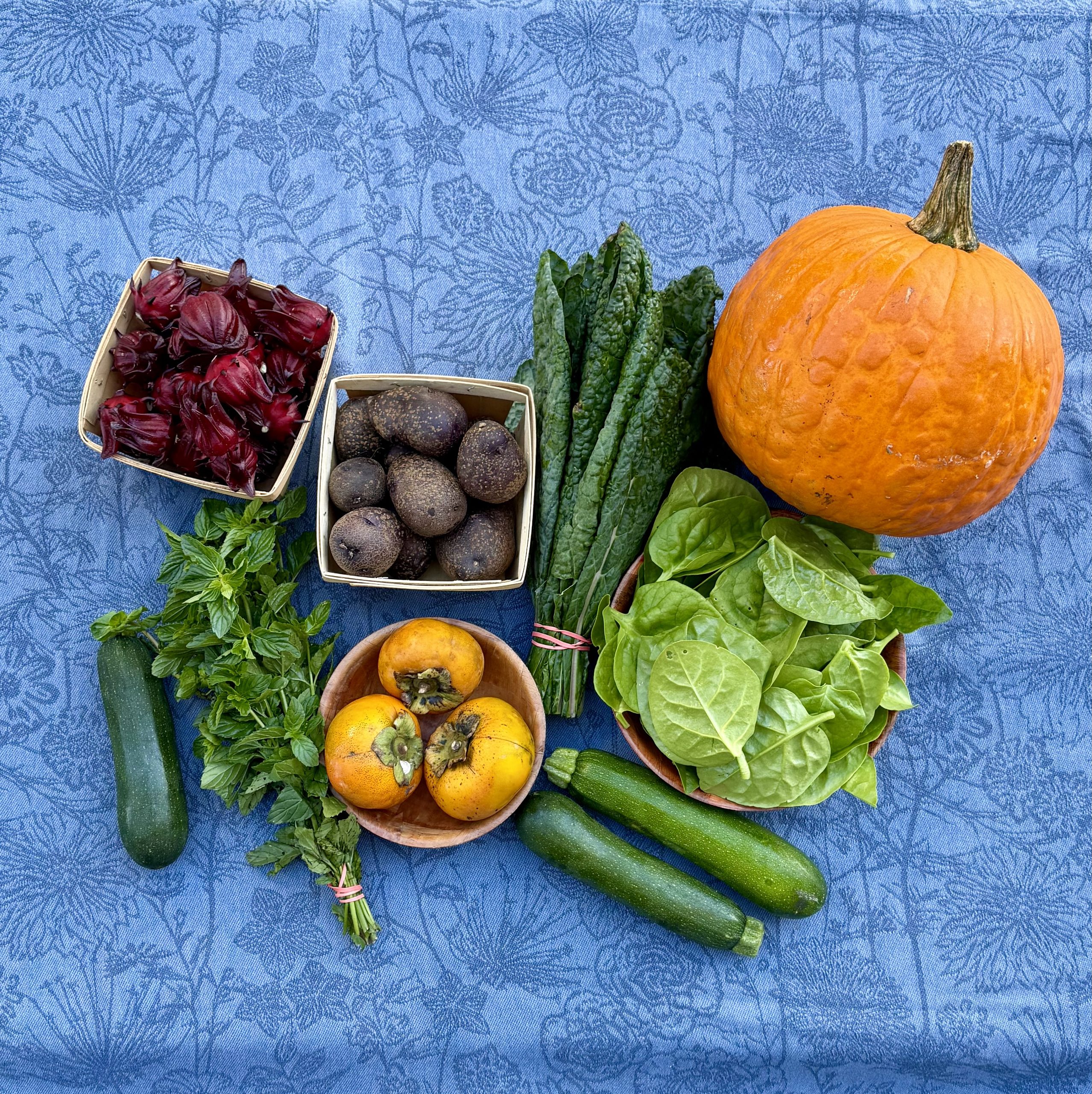 CSA 2026 WEEK 43